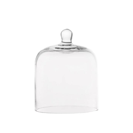Small Glass Dome - Domes