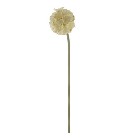 Cream Stellata Scabiosa Stem - Artificial Floras