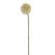 Green Stellata Scabiosa Stem - Artificial Floras