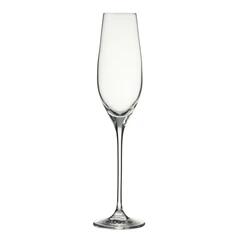 Cuvee Champagne Flutes 210mL – Set of 6