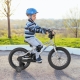 CostwayKids Bike for 4-7 Years Old Sport Bicycle Adjustable with Training Wheels-Silver-16 inches