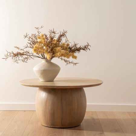 Agnes 45x90cm Mango Wood Coffee Table - Coffee Tables
