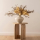 Agnes 45x90cm Mango Wood Coffee Table - Coffee Tables