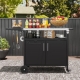 CostwayOutdoor Trash Can Storage Shed for 2 Bins with Gas Struts-Silver - Outdoor > Outdoor Storage & Garages > Sheds & Outdoor Storage