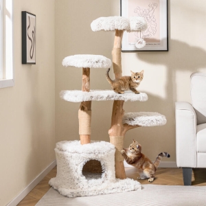 Cat Supplies